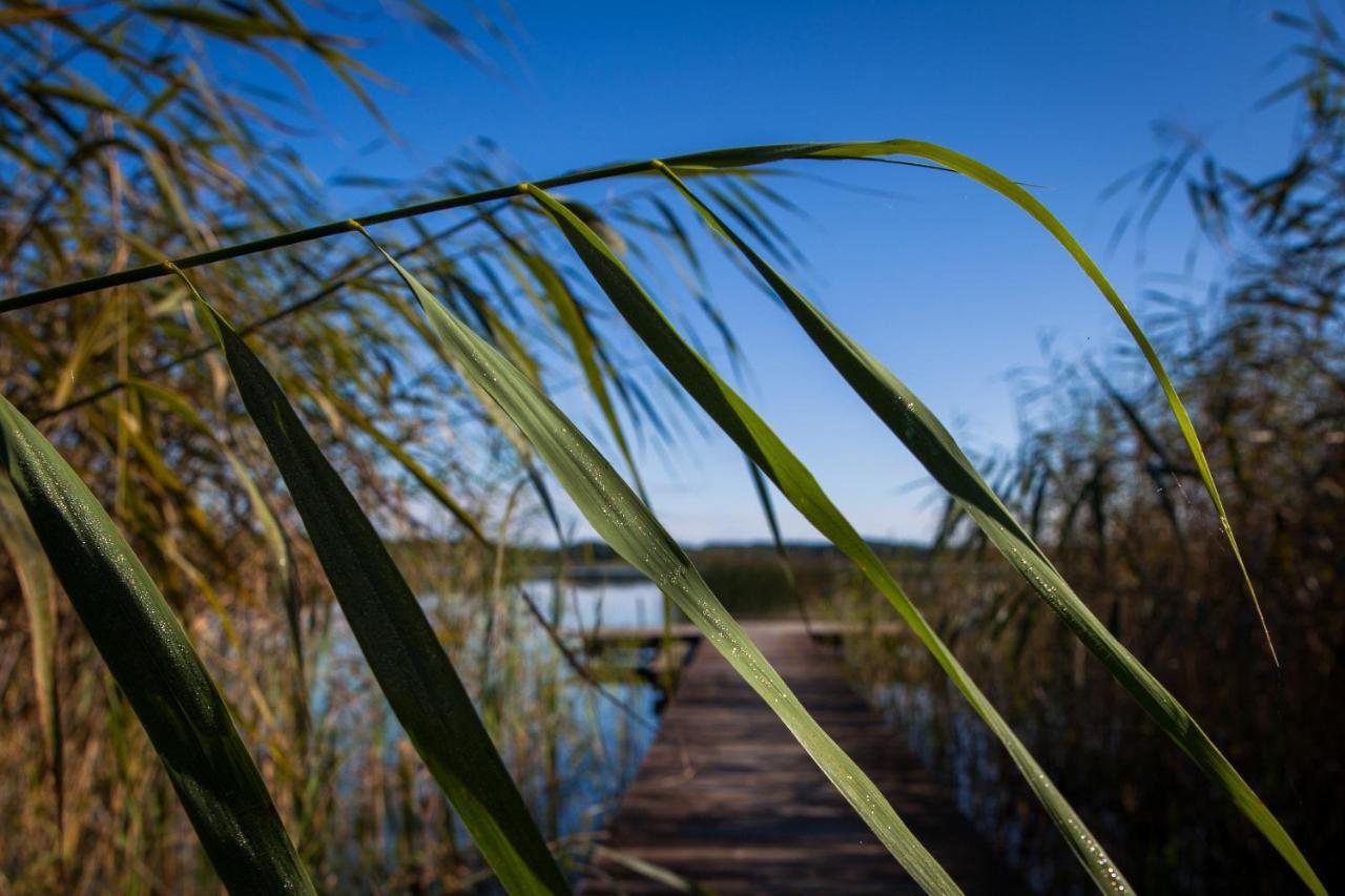 Saski Zakątek, Mazury, Sauna, Własny Pomost Sasek Maly Zewnętrze zdjęcie