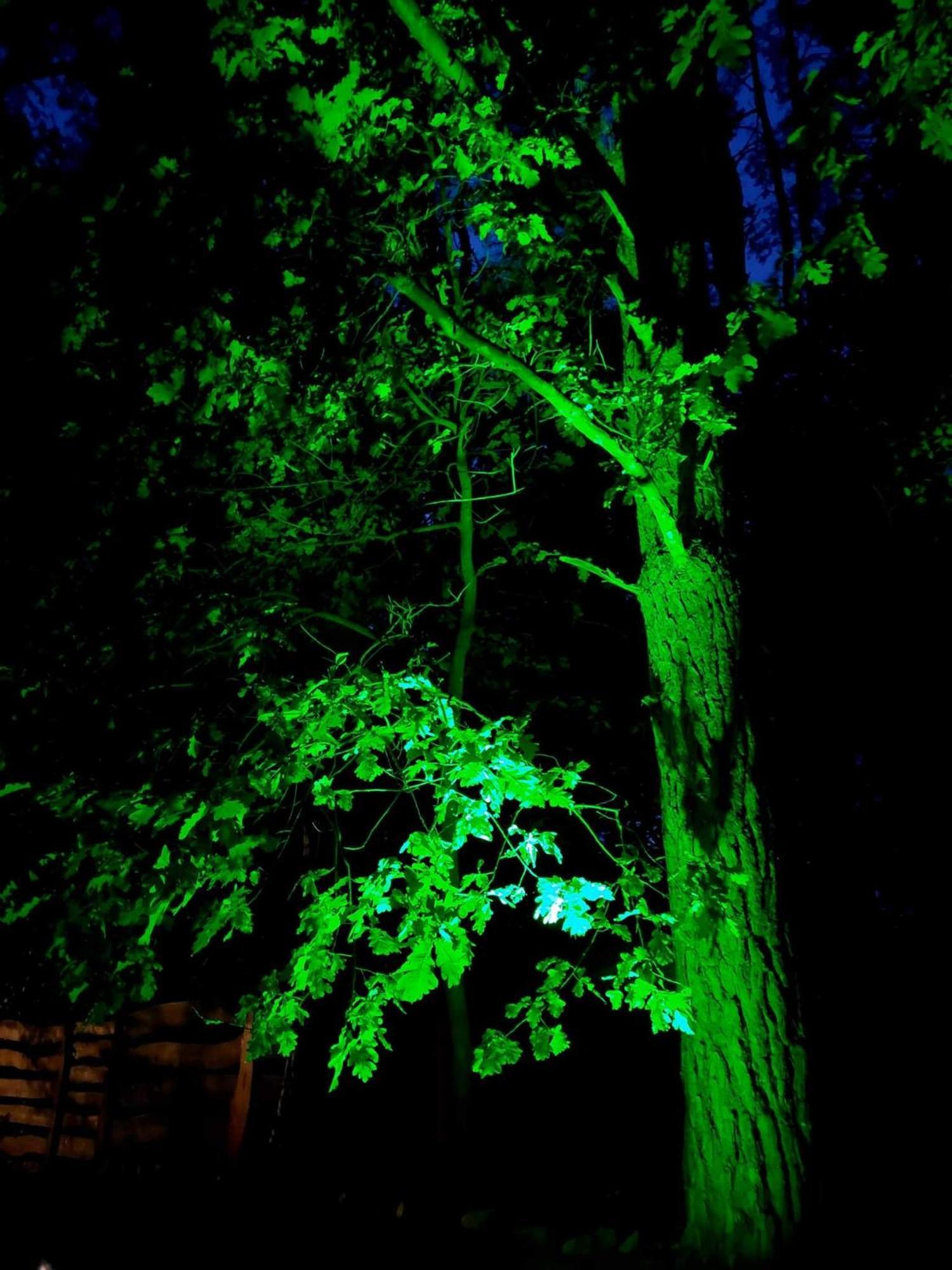 Saski Zakątek, Mazury, Sauna, Własny Pomost Sasek Maly Zewnętrze zdjęcie